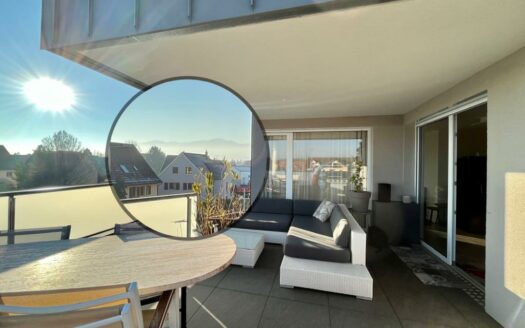 RARE Quartier Maraîchers à Colmar, Appartement en attique et sa terrasse