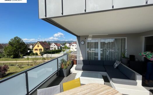 RARE Quartier Maraîchers à Colmar, Appartement en attique et sa terrasse