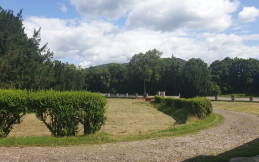 RARE terrain constructible  5 000 m2 Châtenois