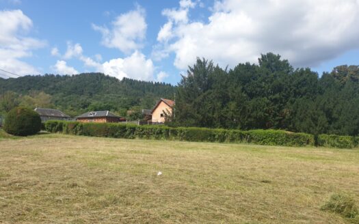 RARE terrain constructible  5 000 m2 Châtenois