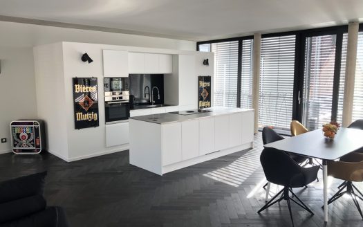 En exclusivité, Colmar, hyper centre, loft contemporain 5 pièces 132 m2, terrasse