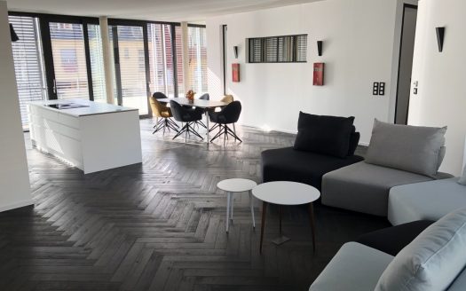 En exclusivité, Colmar, hyper centre, loft contemporain 5 pièces 132 m2, terrasse