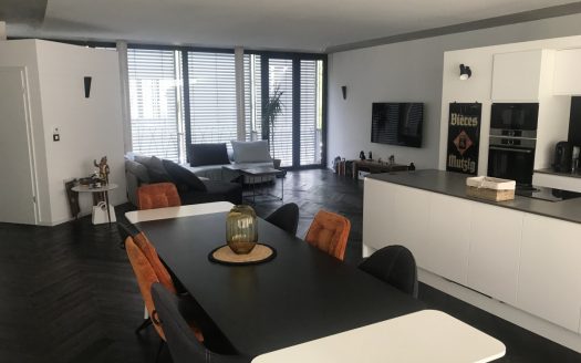 En exclusivité, Colmar, hyper centre, loft contemporain 5 pièces 132 m2, terrasse